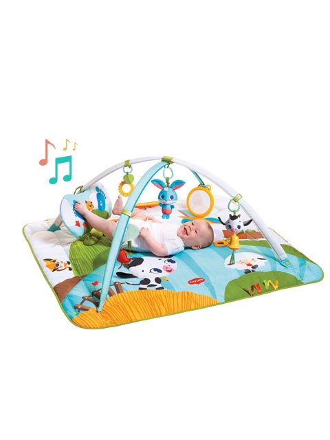 Tiny love cheap play mats